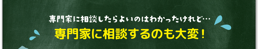 専門家に相談したらよいのはわかったけれど…
				専門家に相談するのも大変！